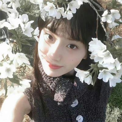 叫我弗兰西斯科